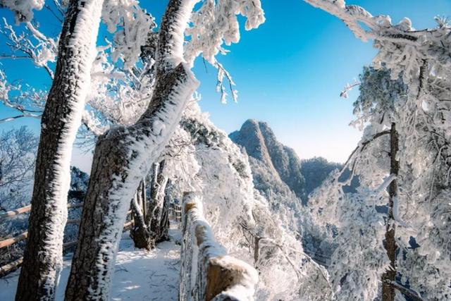 今年跨年怎么玩儿？一起勇闯白云山！