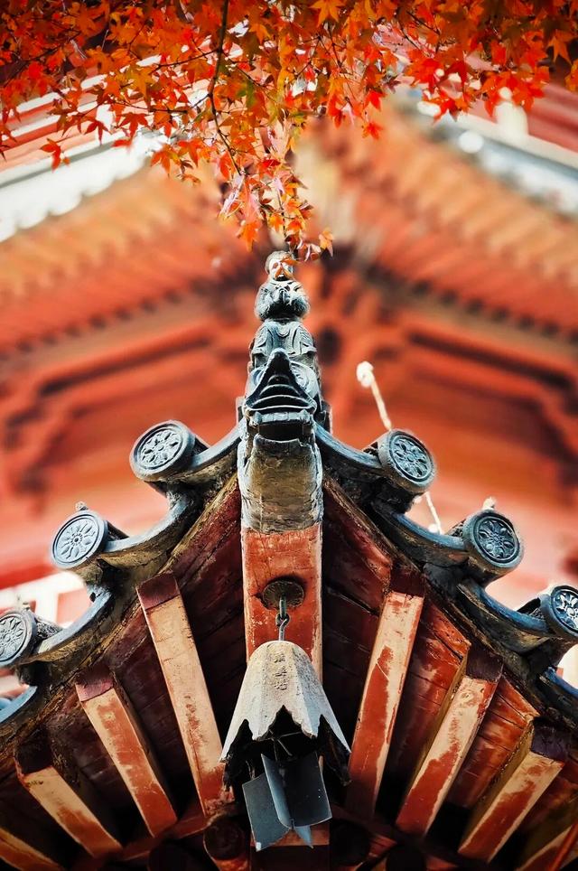 学子专属！凭学考准考证免费登塔，湖州考古送祝福