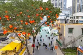 持续推进城市更新行动“路线图”敲定图片