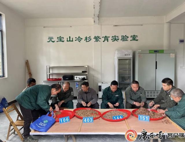 “果冻水”自由，清凉无限！柳州县域玩水天花板今夏火出圈