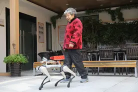 能送药能陪伴 杭州机器狗“上岗”养老院成新宠图片