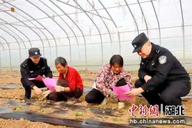 湖北公安：“田间警务”在荆楚大地生根发芽图片