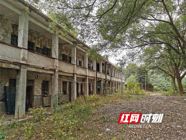 文化永州丨八亩田畔的青春絮语