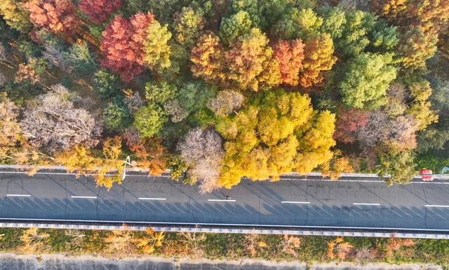 江苏东海：湿地公园冬景绚丽