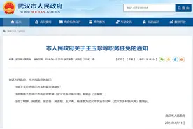 武汉任命三位局长：王玉珍任乡村振兴局局长，王烁任数据局局长，张智任投资促进局局长图片