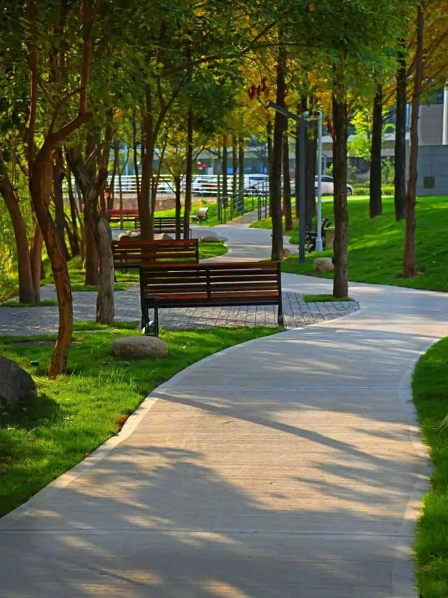 藏在医院里的治愈魔法！莲都又添宝藏休闲地