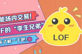 也能场内交易！ ETF的“孪生兄弟”LOF，你了解嘛？图片
