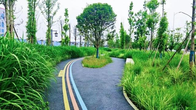 成都的绿道，上万公里了！