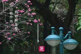 阴雨+湿冷！新“阿冷”周四到广州，回南天会不会来？官方解读图片