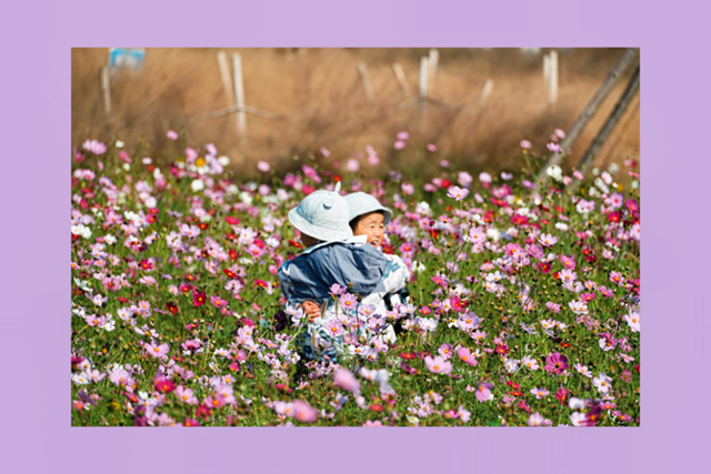 良渚荀甫路“秋花盲盒”已开！波斯菊海+治愈彩蛋，不仅好看还好拍！