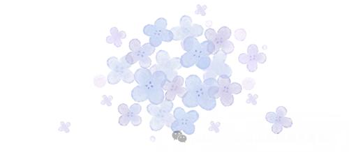 繁花似锦 | 邛海紫薇花开缀满枝头,百日浪漫尽在眼前