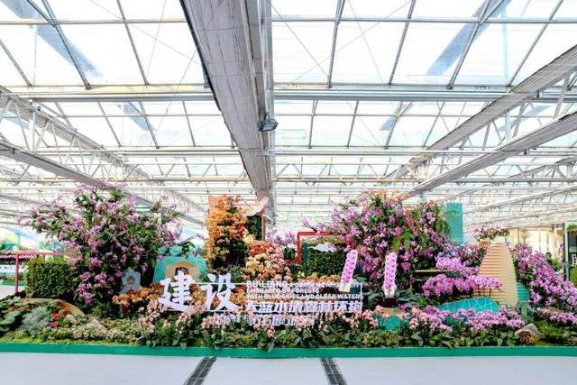 家庭园艺嘉年华| 2026北京兰花文化嘉年华在昌平盛大开幕