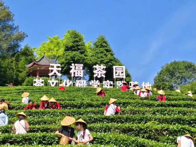 【四川交通】四川首个！这个高速服务区可办离境退税