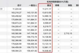 凭借《哪吒2》票房神话，光线传媒收获20CM涨停，新进多家基金十大重仓股图片