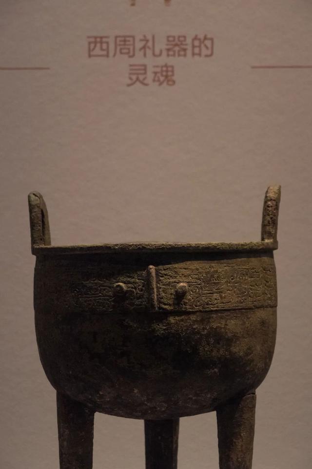 长株潭城际漫游丨霸王龙、越人、大墓、古井、金银器……这个博物馆让人大感震撼