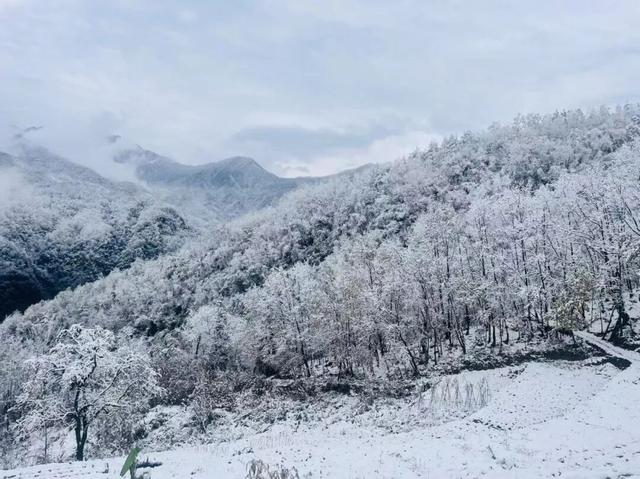 等来了！白河入冬第一场雪，竟藏着这样的景致