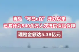 青岛“琴岛e保”开办以来，已累计为540余万人次提供保险保障图片