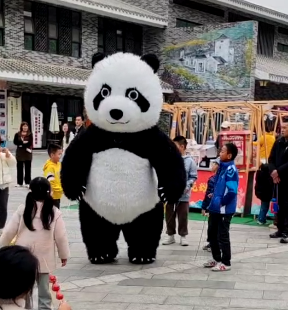 2025年深圳簕杜鹃赏花周11月“浪漫绽放”