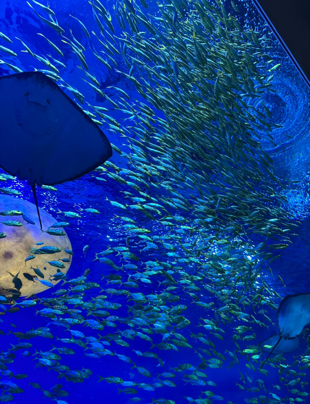 星空夜话｜夜长沙果然是顶流！