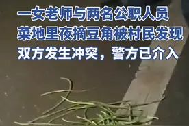 公职人员与教师夜摘豆角引纠纷，湖南常宁通报图片