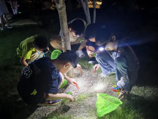 徐州经开区图书馆：全龄覆盖多维服务 打造全民文化避暑地