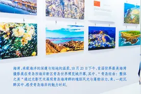 绝美！从日出东方到星河万里，青岛这些海湾承包你的“诗和远方” | 大省挑大梁·向海图强图片