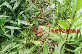 江门新会：男子深陷淤泥被困河中，民警消防合力搜救终脱险图片