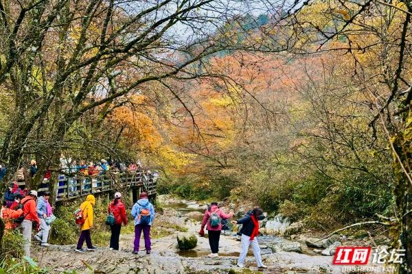 岁暖时刻丨光雾山诺水河那片秋末初冬的景色好撩人
