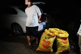 组团盗窃红心猕猴桃？成都5名涉案嫌疑人被抓图片