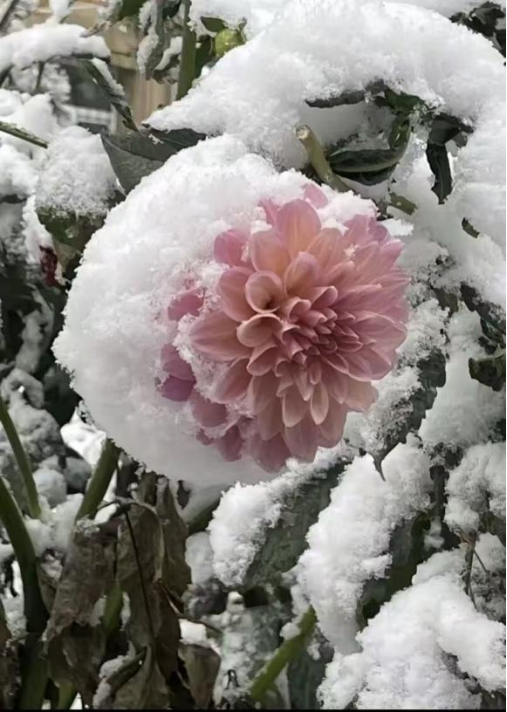 全网一致认定：最短的秋天，才是最贵的奢侈品