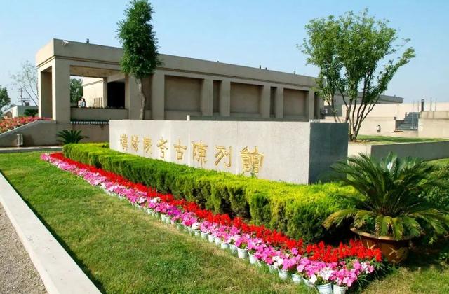 救命！被陕D“拿捏”了！
