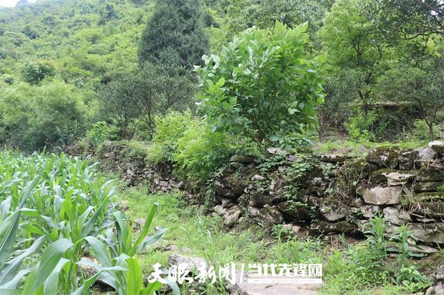 【天眼镜像】走进河闪渡，看古渡口和老盐道