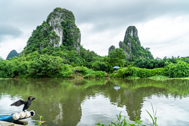 2025桂马攻略出炉！从景区到酒店，各种专属福利大放送！