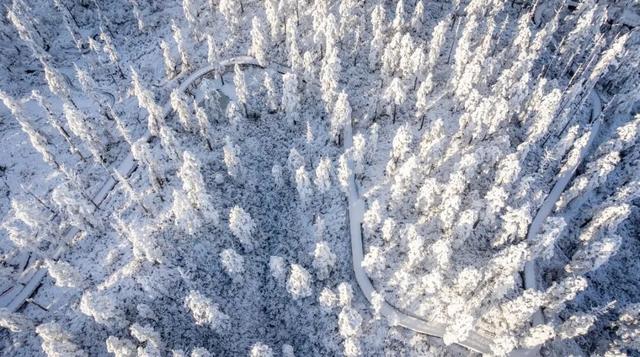 【抢完即止！】瓦屋山78元早鸟票来啦！畅玩冬日仙境，“四驱”挑战冰雪桌山！