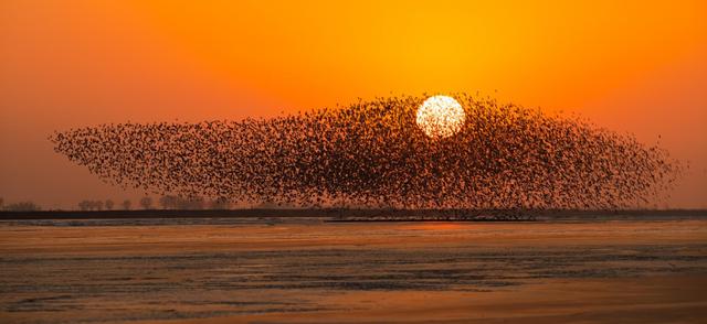 红色热土，河海新篇：“大美东营”绘就高质量发展新画卷