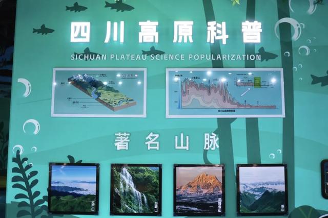 藏在成都的海洋王国，上新啦！