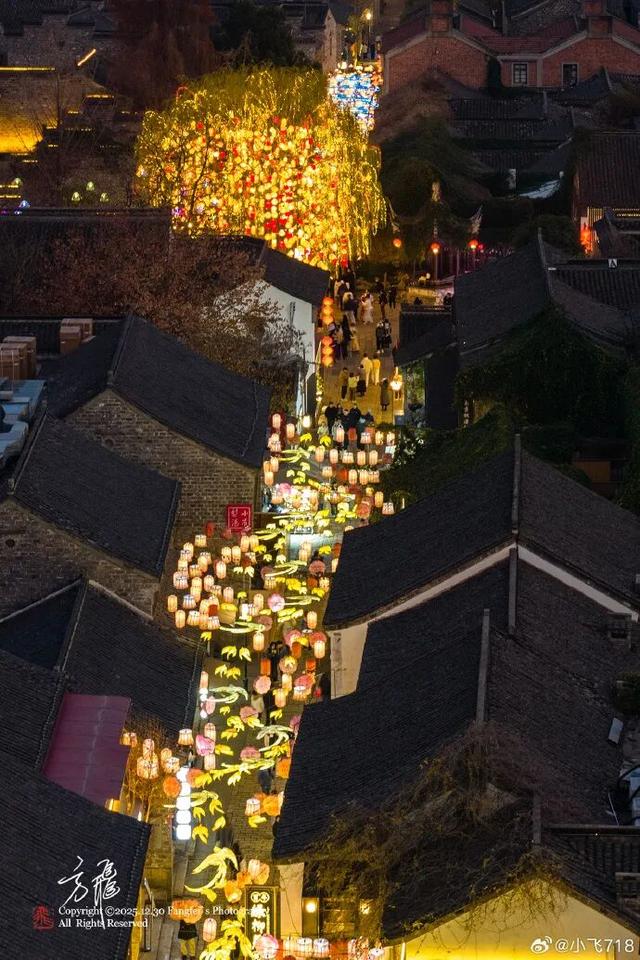 门东新“顶流”！一棵美到让全南京排队围观的树！