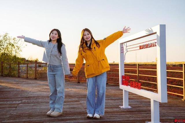 红海滩的“红”从何而来？