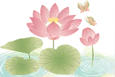 夏日限定！河南赏荷地图来了→图片