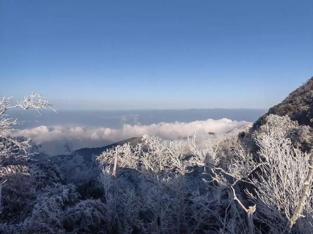 多地下雪！广西限定版“冰雪世界”已上线