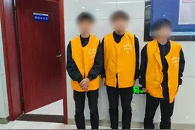 “拆盲盒 、 碰运气”拉车门盗窃 3人终落法网图片