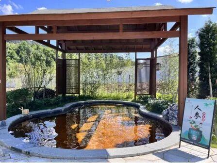 三明上榜“2025年中国康养城市排行榜百强”，邀您来解锁一场自然疗愈之旅～