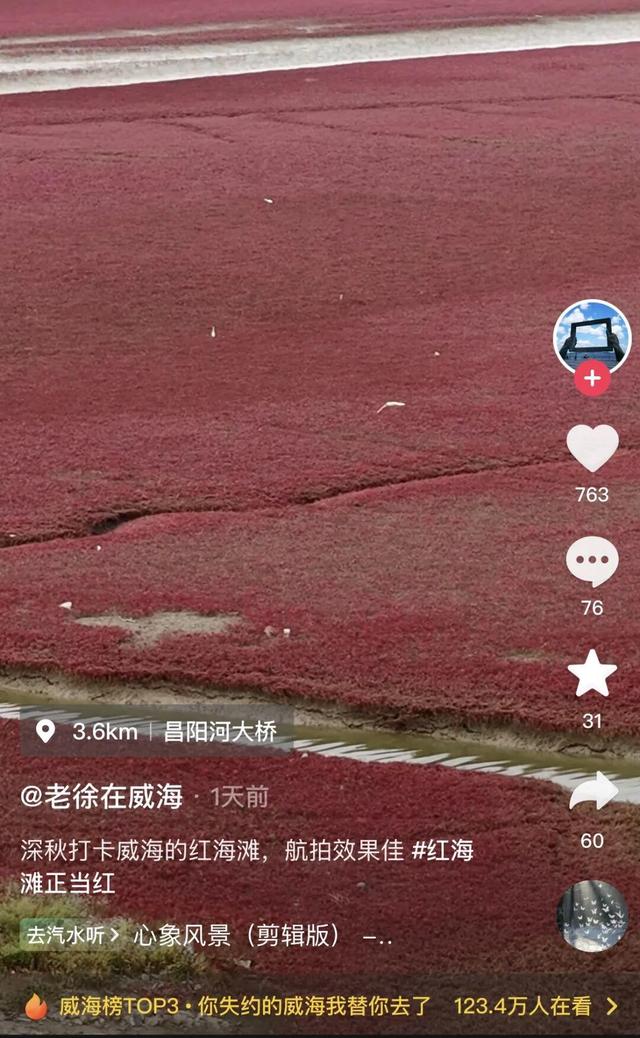 南海红海滩刷屏 网友争相打卡