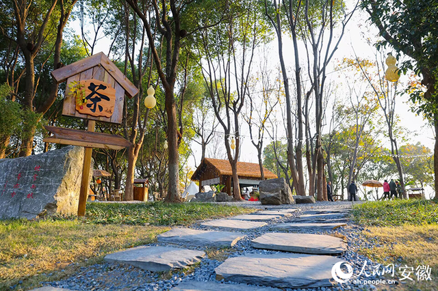 大阳垾公园：鸠江“绿肺”焕新颜