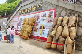 搭乘特色交通工具 一览黄河两岸风光 水上公交带火兰州水上经济图片