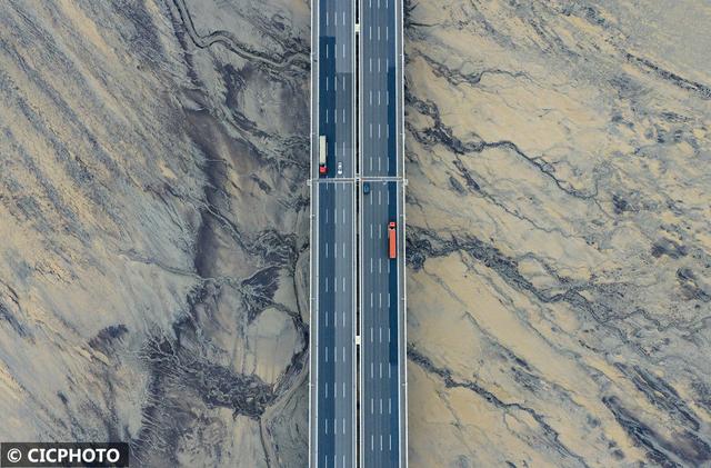 宛如水墨画！钱塘江滩涂出现“潮汐树”景观