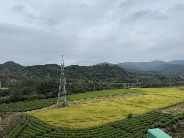 从沈阳骑行来上学的费腾，你火啦！