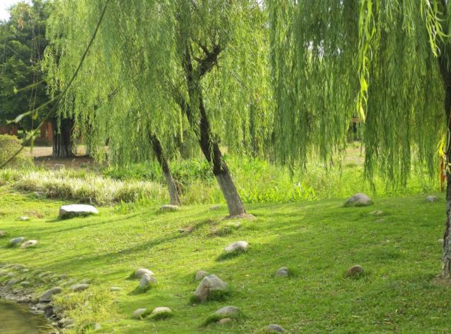 开学倒计时！抓住暑假“小尾巴”，用一场公园野餐给娃「充电」再出发！