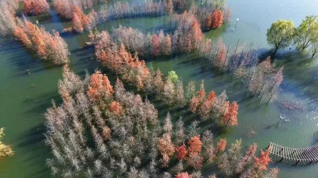 年假清零，总要留几天给洛阳