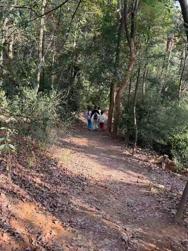 岳麓山被爬出“花”来！“野爬”成新风尚 “练胆”不能无视安全